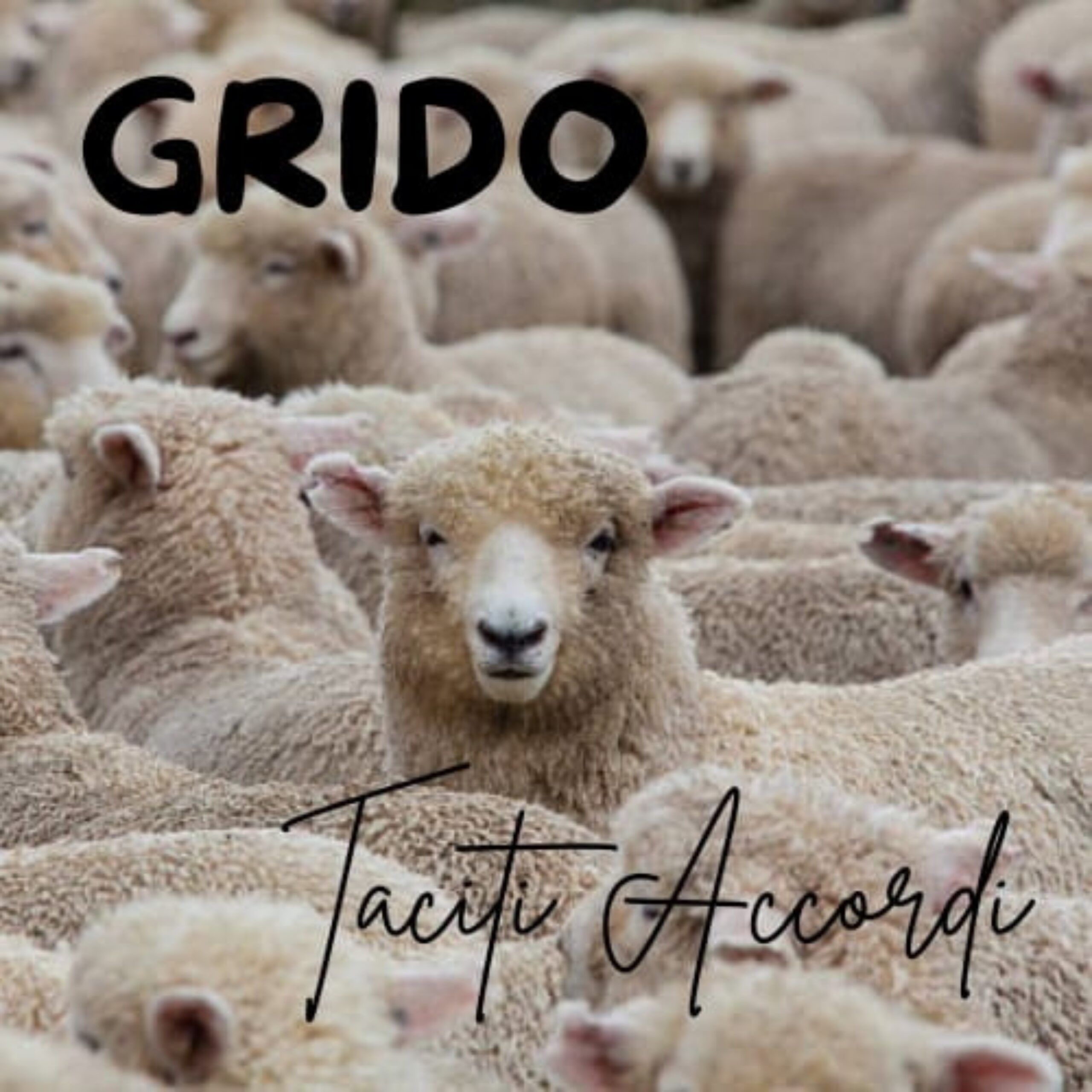 Al momento stai visualizzando “Grido” dei Taciti Accordi: Ironia e Critica Sociale in Musica