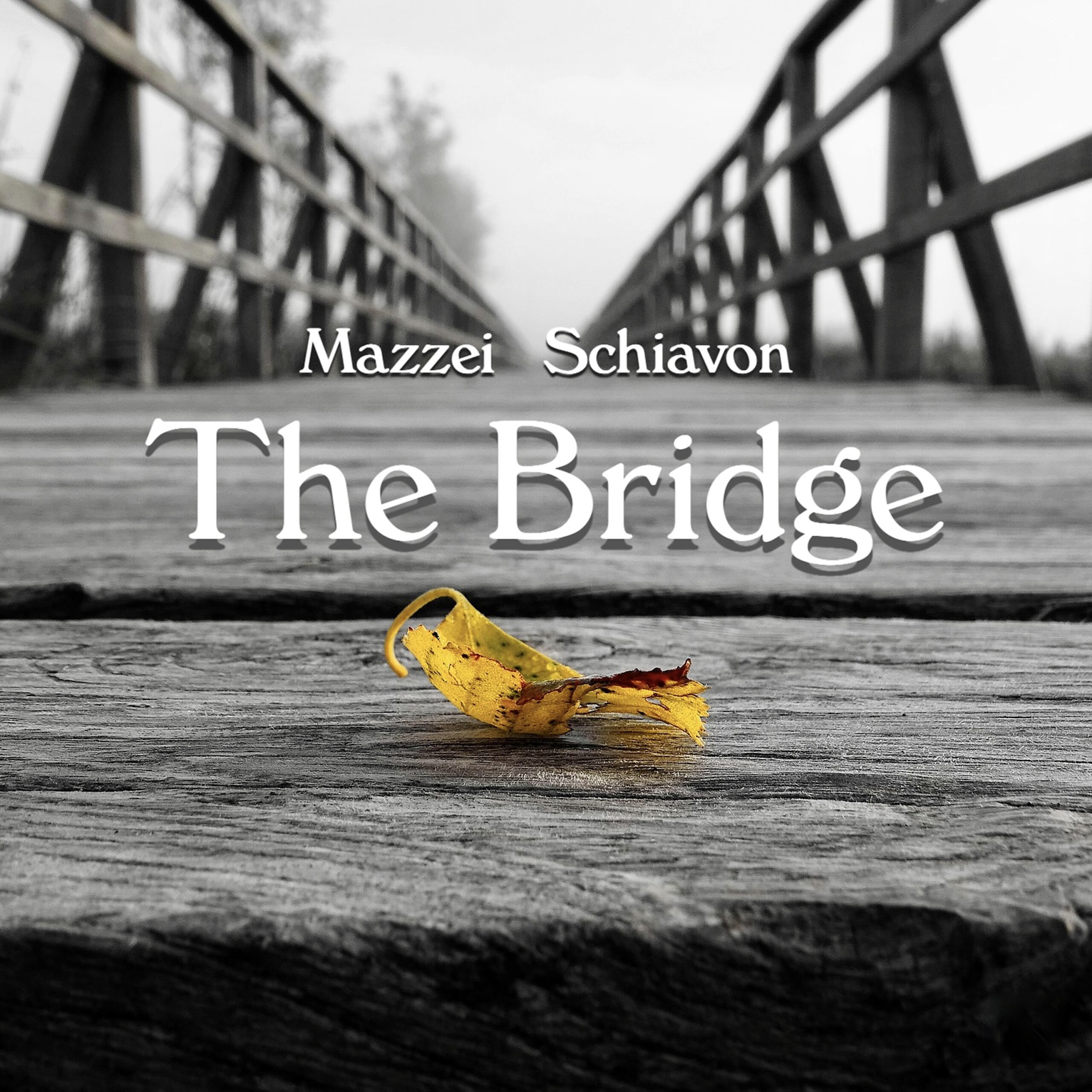 The Bridge: Un Viaggio Musicale Oltre i Confini