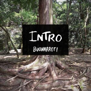 Scopri di più sull'articolo Buonarroti: “Intro” è il primo singolo estratto dal nuovo EP “Komorebi” di prossima uscita